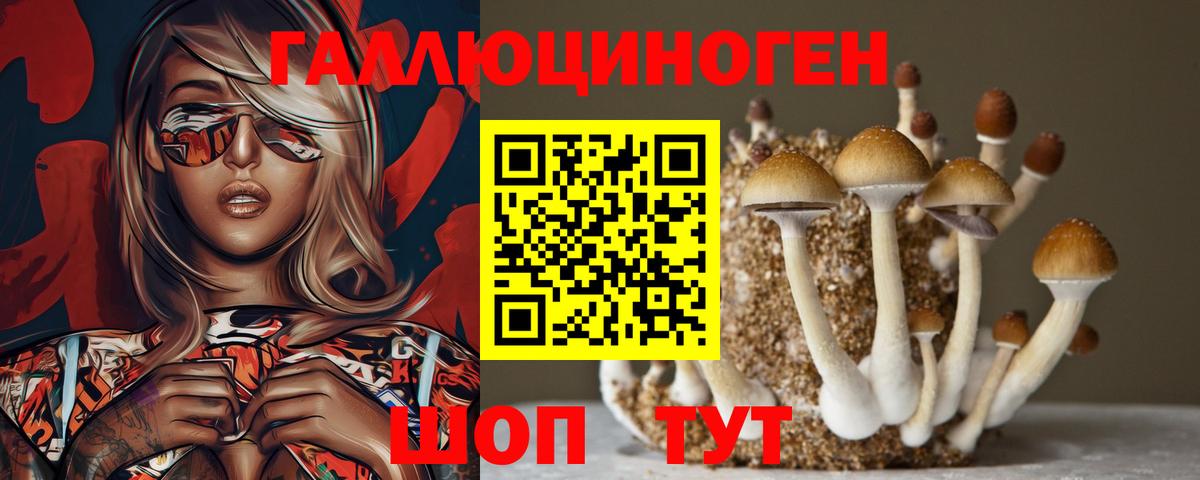 Галлюциногенные грибы ЛСД Избербаш
