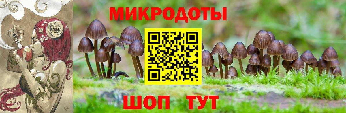 Псилоцибиновые грибы Psilocybine cubensis  Вход с VPN  Псилоцибиновые грибы Psilocybine cubensis  Избербаш 